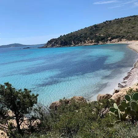 Apartment Patrizia Castiadas